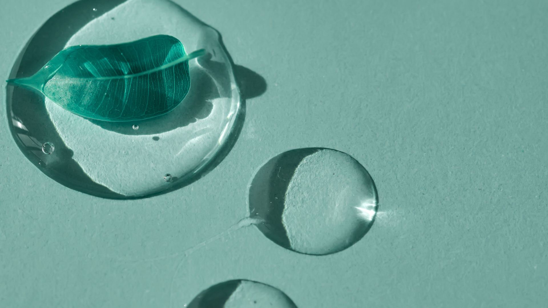 Ingredient Research & Innovation